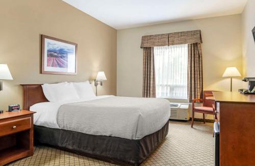 Dieppe Hotel | Quality Inn Airport