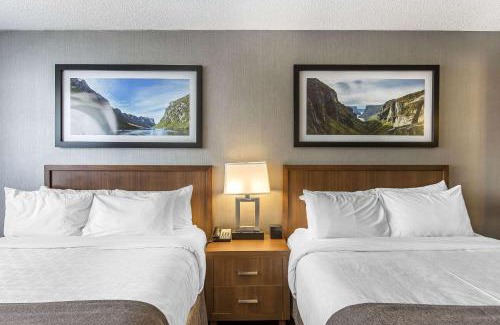 Corner Brook Hotel | Quality Inn