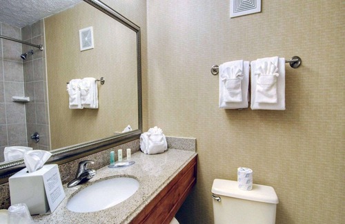 Martinsville Hotel | Quality Inn near Martinsville Speedway