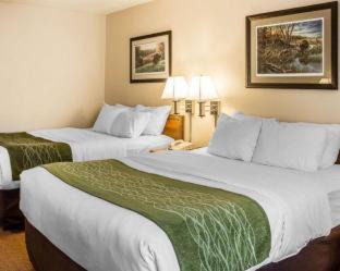 Petoskey Hotel | Quality Inn Petoskey-Harbor Springs