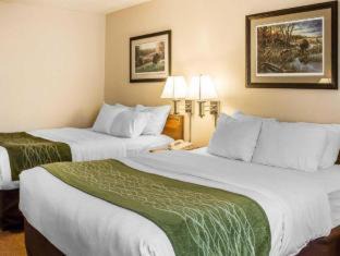 Petoskey Hotel | Quality Inn Petoskey-Harbor Springs