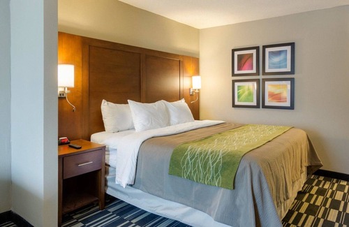 Ashland Hotel | Quality Inn & Suites Ashland near Kings Dominion
