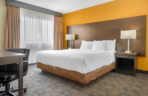Bathurst Hotel | Quality Inn & Suites