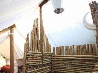 Paterson Other | Quatermain's 1920's Safari Camp – Amakhala Game Reserve
