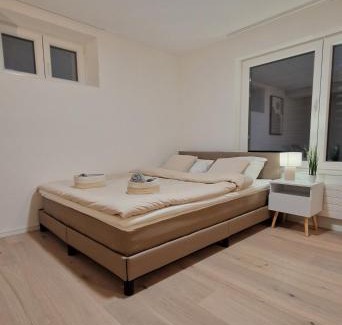 St. Gallen Apartment | Queensize-Bett, Arbeitsplatz, gratis Parkplatz