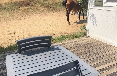Damiatte House | Quiet 2CH mobile home in the countryside with view of horses