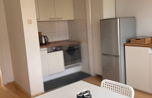Frohnhausen Apartment | Quiet and central living! MA3R