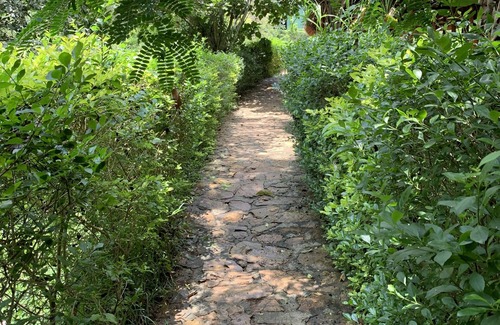 Mpigi House | Quiet, and Serene. Boarders Mpanga Forest for nature walks, hikes and birding.