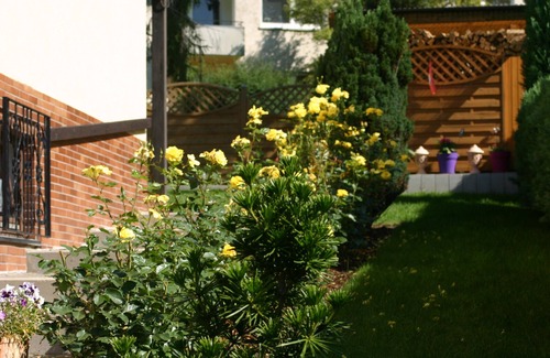 Ruedesheim am Rhein Apartment | Quiet apartment, vineyards nearby, 15 minutes walk to the center,