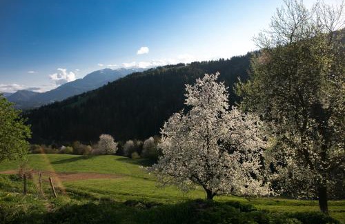 Prevalje Apartment | Quiet apartment with a terrace on Organic farm