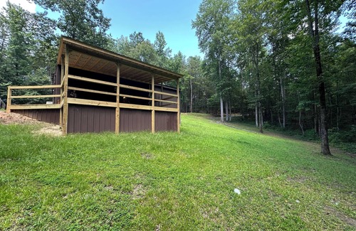 Green Pond Cabin | Quiet Cabin in the woods!