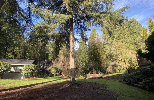 Collins View Cottage | Quiet Cottage in the Trees - Close to Downtown, OHSU, Lewis & Clark!