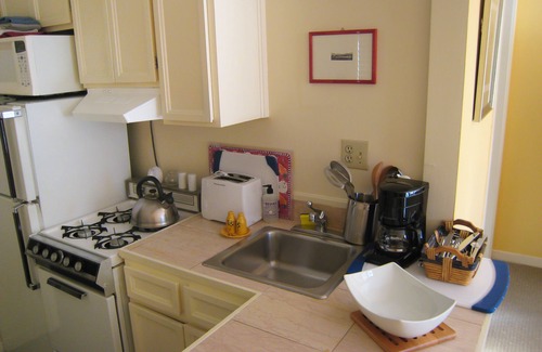 Inner Sunset Apartment | Quiet Garden Studio Near Golden Gate Park