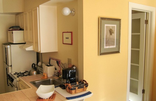 Inner Sunset Apartment | Quiet Garden Studio Near Golden Gate Park