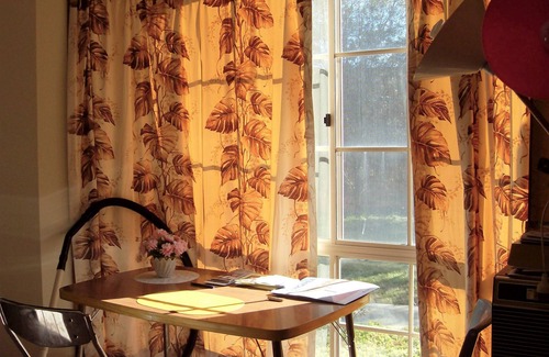 Palmerston Cabin | Quiet retreat near major shopping center and tram line