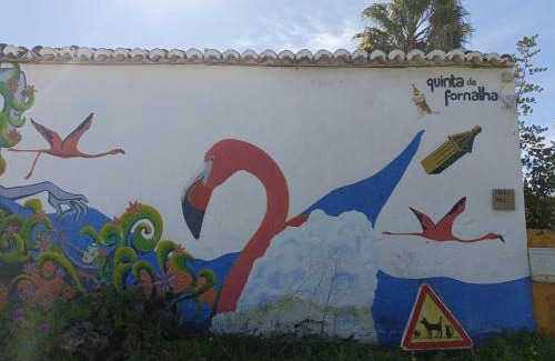 Sao Bartolomeu House | Quinta da Fornalha - Santuario Agroecologico