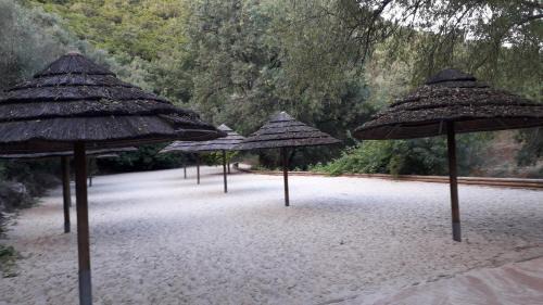 Sabacheira House | Quinta Da Silva