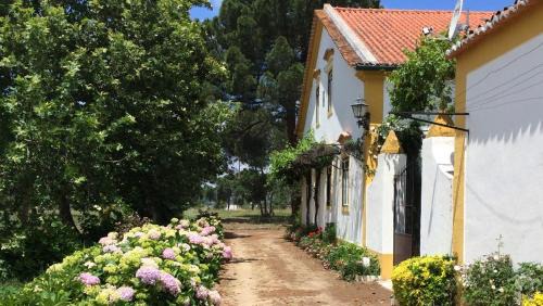 Alvega House | Quinta de SantAna da Várzea