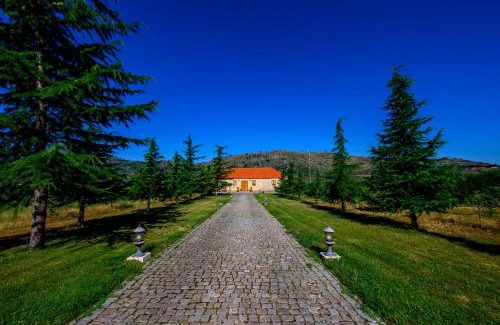 Guarda House | Quinta do Quinto