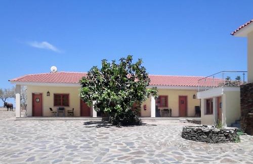 Torre de Moncorvo House | Quintas do Valbom e Cuco