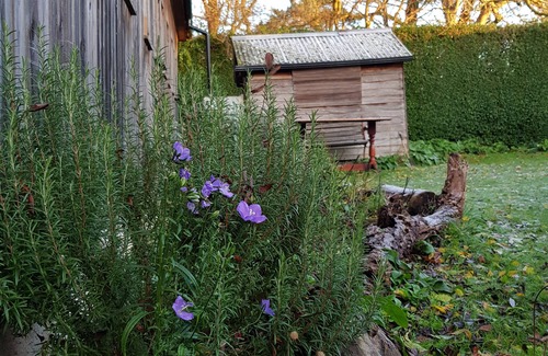 Ringstead House | Quirky house created around a Victorian railway carriage, close to a quiet beach