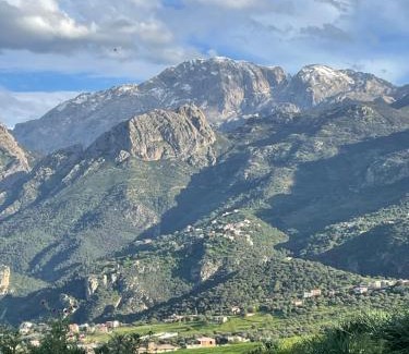 Tizi Ouzou Province Apartment | Résidence Djurdjura