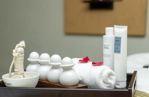 South West Hotel | Radisson Blu Plaza Delhi Airport