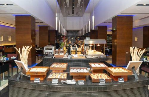 South West Hotel | Radisson Blu Plaza Delhi Airport