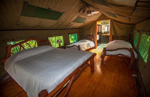 Canton Quepos Cabin | Rafiki Safari Lodge