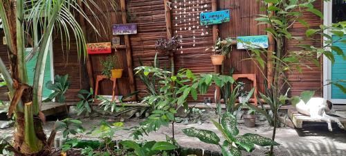 Mompiche House | Raices Mompiche