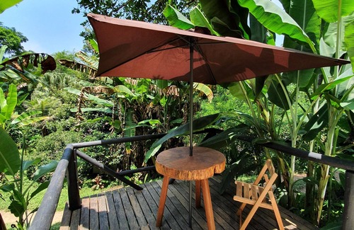 Gavea Cottage | Rain Forest Paradise Rustic and Charming