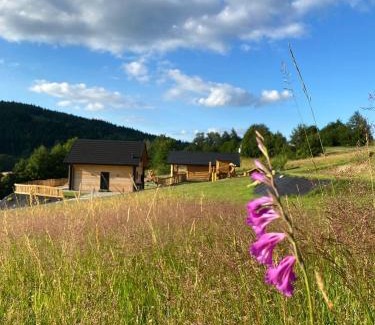 Kamionka Wielka House | Rajski Zakątek - jeden domek na działce z gorącą balią i mini ZOO
