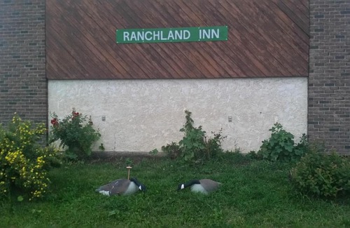 Nanton Hotel | RANCHLAND Inn