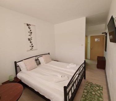 Valiug Hotel | Randunica