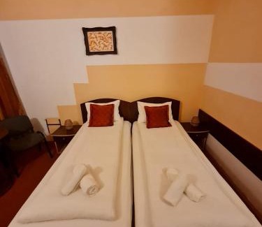 Valiug Hotel | Randunica