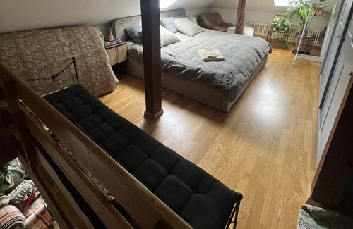 Oberstrass Apartment | Rare triplex central - alps and lake view