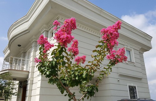 Buyukcekmece Villa | RAYA WONDERFUL SEA VIEW, SWIMMING POOL AND CITY CENTER.8+1 500 Sq Private Villa