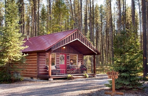 Columbia Falls Cabin | Reclusive Moose Cabin 10 Minutes to West Glacier Entrance