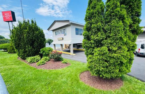 Cove - East Side - Shippan Hotel | Red Carpet Inn - Stamford