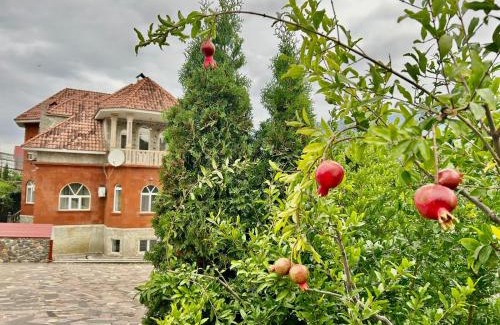 Getahovit Villa | Red House