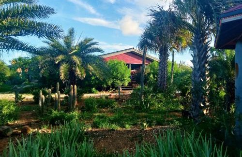Kralendijk Resort | Red Palm Village