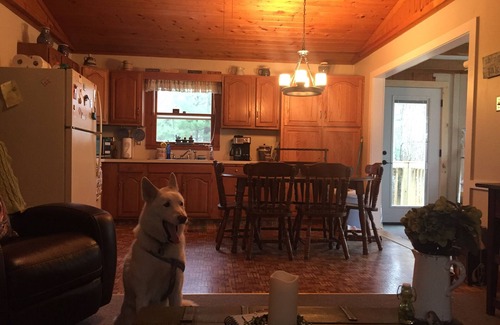 Lake Cottage | Red Roof Hilltop Cottage Overlooking Lake W/Extra Bunkhouse And Pet Friendly!