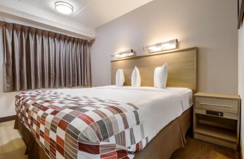 Farmington Hills Hotel | Red Roof Inn Detroit - Farmington Hills