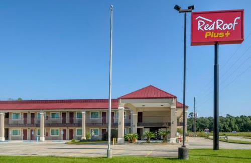 Hammond Hotel | Red Roof Inn PLUS+ Hammond