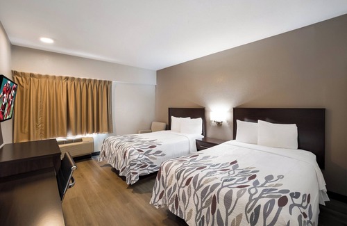 Cortaro Hotel | Red Roof Inn Tucson North - Marana