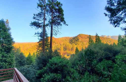 Camp Nelson Cabin | Redwood Retreat, Mountains, Adventure and Nature