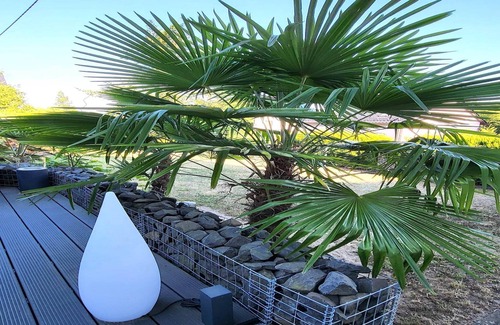 Pracht Apartment | Regal Apartment in Pracht with Garden and Grill