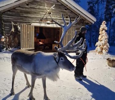 Pello House | Reindeer Lake Resort