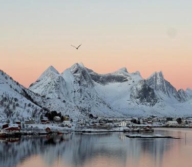 Reine Apartment | Reine Sea Apartment