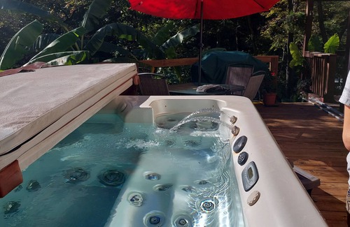 Sylvan Shores House | Relax and Rejuvenate in this Peaceful, Wooded Oasis.